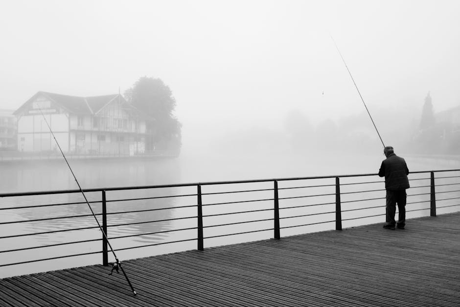 轉按回贈:深入分析與教學