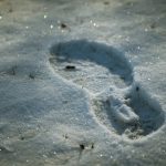 裝修必備指南：打造理想居家的實用秘訣